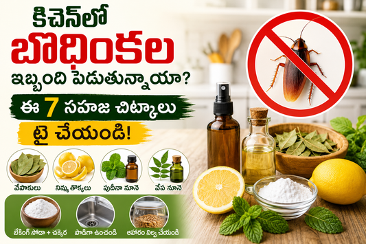 కిచెన్‌లో బొద్దింకలు ఇబ్బంది పెడుతున్నాయా? ఈ 7 సహజ చిట్కాలు ట్రై చేయండి!